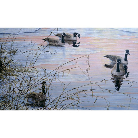 Sunset Serenity Black Modern Wood Framed Art Print with Double Matting by Tift, Jeff