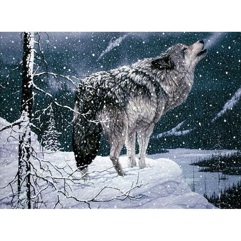 Lone Wolf Black Modern Wood Framed Art Print with Double Matting by Tift, Jeff