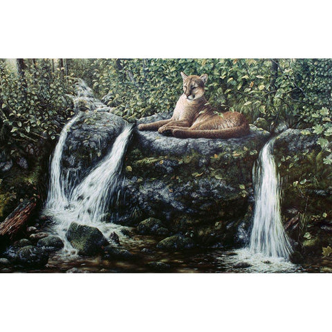 Solitude Black Modern Wood Framed Art Print with Double Matting by Tift, Jeff