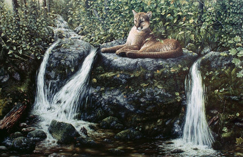 Solitude White Modern Wood Framed Art Print with Double Matting by Tift, Jeff