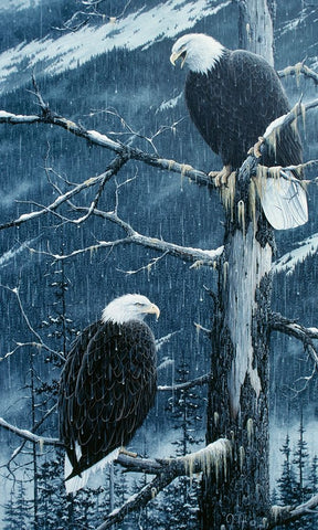 Another Rainy Day Black Ornate Wood Framed Art Print with Double Matting by Tift, Jeff