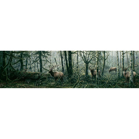 Enchanted Forest Black Modern Wood Framed Art Print with Double Matting by Tift, Jeff