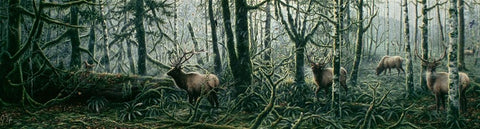 Enchanted Forest Black Ornate Wood Framed Art Print with Double Matting by Tift, Jeff