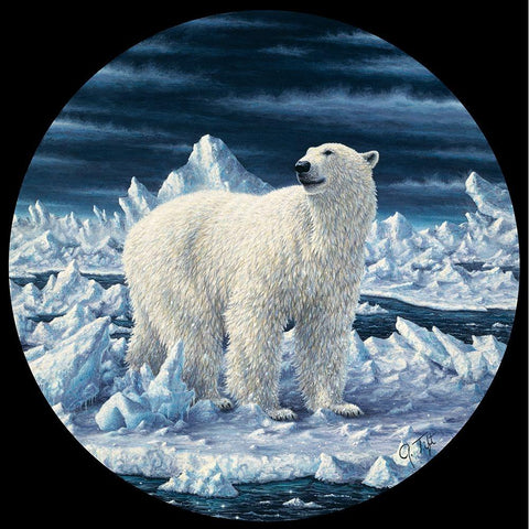 Polar Bear White Modern Wood Framed Art Print by Tift, Jeff