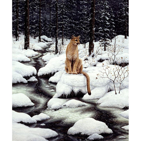 Cougar Black Modern Wood Framed Art Print with Double Matting by Tift, Jeff