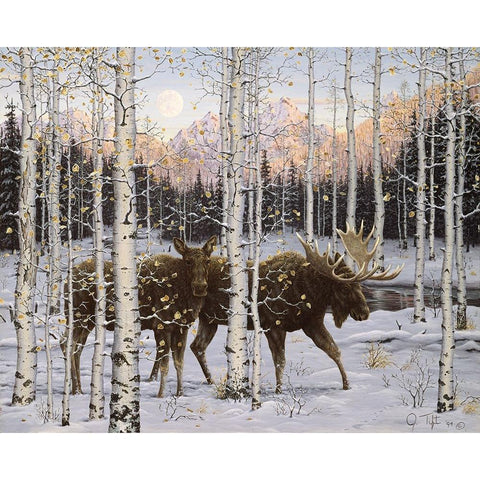 Forest Twilight Black Modern Wood Framed Art Print with Double Matting by Tift, Jeff