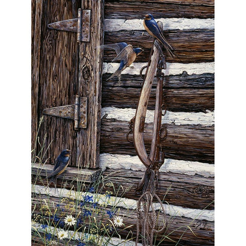 Barn Swallows Black Modern Wood Framed Art Print with Double Matting by Tift, Jeff