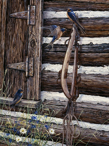 Barn Swallows Black Ornate Wood Framed Art Print with Double Matting by Tift, Jeff