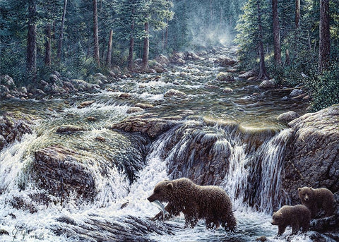 Bear Crossing White Modern Wood Framed Art Print with Double Matting by Tift, Jeff