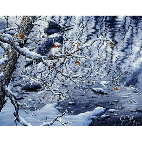 Icy Reflections White Modern Wood Framed Art Print by Tift, Jeff