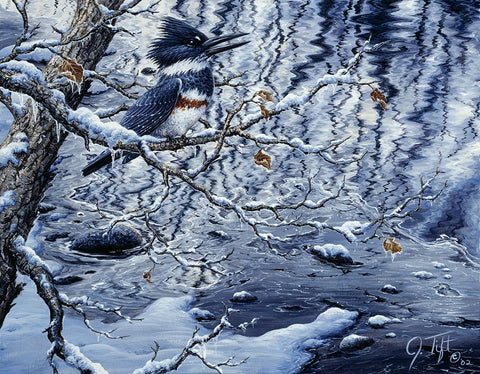 Icy Reflections White Modern Wood Framed Art Print with Double Matting by Tift, Jeff
