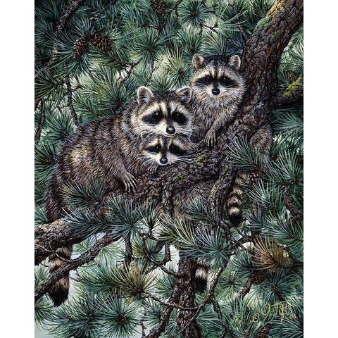 Racoons White Modern Wood Framed Art Print by Tift, Jeff