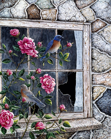 Bluebirds In Window Black Ornate Wood Framed Art Print with Double Matting by Tift, Jeff