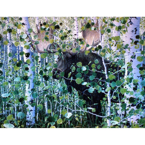 Moose Gold Ornate Wood Framed Art Print with Double Matting by Tift, Jeff