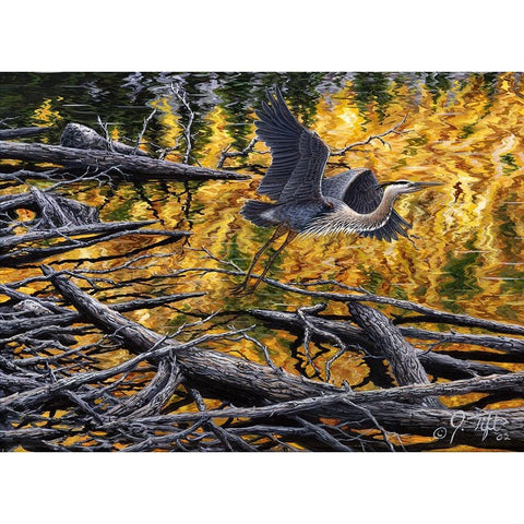 Heron White Modern Wood Framed Art Print by Tift, Jeff