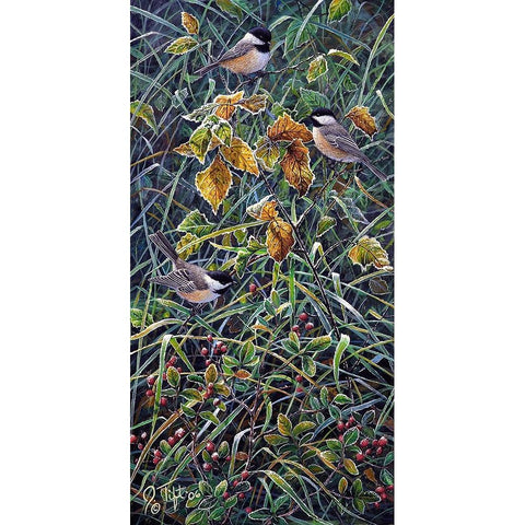 Chickadee 2 Black Modern Wood Framed Art Print by Tift, Jeff