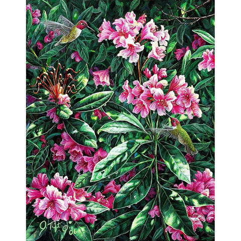 Annas And Rhodies Black Modern Wood Framed Art Print with Double Matting by Tift, Jeff