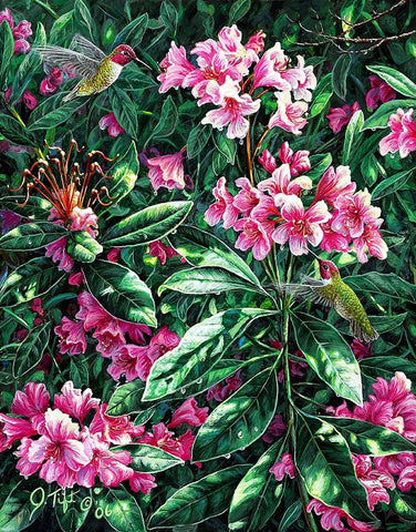 Annas And Rhodies White Modern Wood Framed Art Print with Double Matting by Tift, Jeff