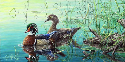 Wood Ducks White Modern Wood Framed Art Print with Double Matting by Tift, Jeff