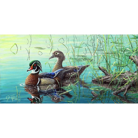 Wood Ducks Black Modern Wood Framed Art Print by Tift, Jeff
