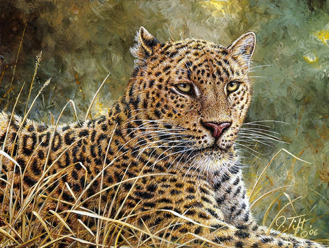 Leopard Portrait Black Ornate Wood Framed Art Print with Double Matting by Tift, Jeff