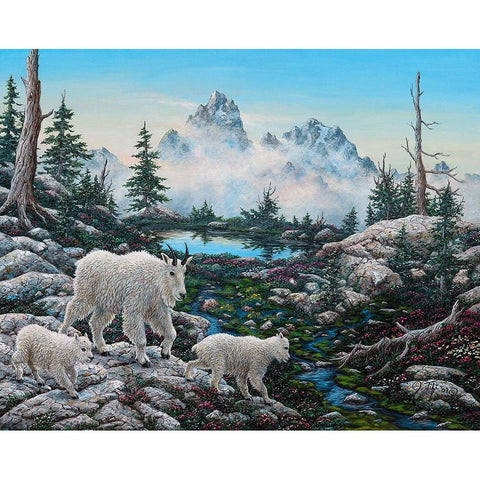 Alpine Country Black Modern Wood Framed Art Print by Tift, Jeff
