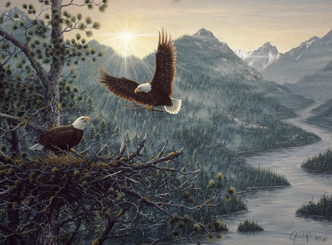 Eagles Nest Black Ornate Wood Framed Art Print with Double Matting by Tift, Jeff