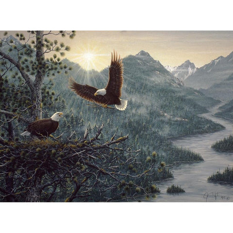 Eagles Nest White Modern Wood Framed Art Print by Tift, Jeff