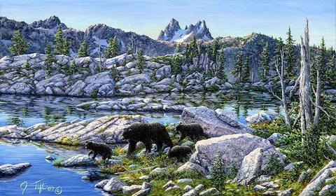 Black Bear Black Ornate Wood Framed Art Print with Double Matting by Tift, Jeff
