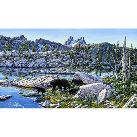 Black Bear Black Modern Wood Framed Art Print by Tift, Jeff