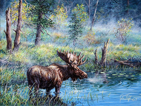Moose Painting 1 White Modern Wood Framed Art Print with Double Matting by Tift, Jeff