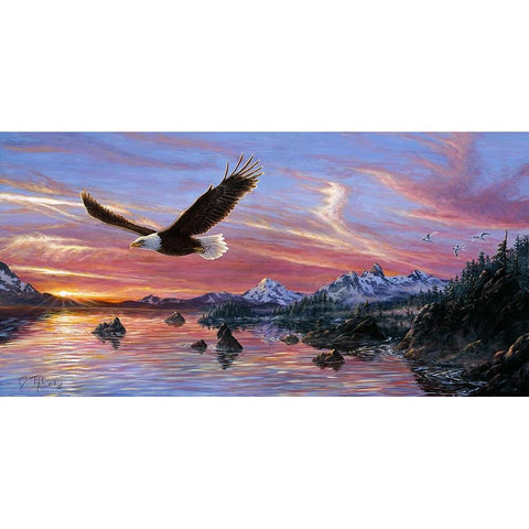 Silent Wings Of Freedom White Modern Wood Framed Art Print by Tift, Jeff