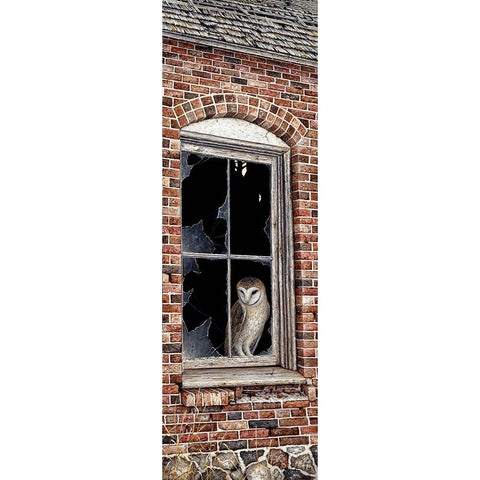 The Look Out Black Modern Wood Framed Art Print with Double Matting by Tift, Jeff