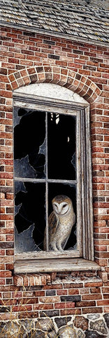 The Look Out White Modern Wood Framed Art Print with Double Matting by Tift, Jeff