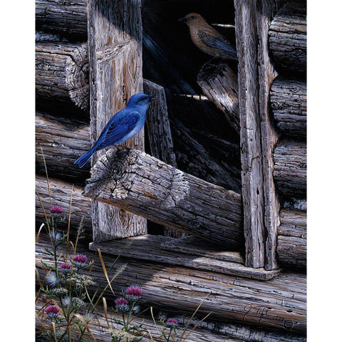 Meeting Place Black Modern Wood Framed Art Print with Double Matting by Tift, Jeff