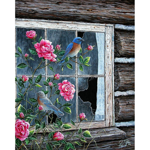 Roses And Bluebirds White Modern Wood Framed Art Print by Tift, Jeff