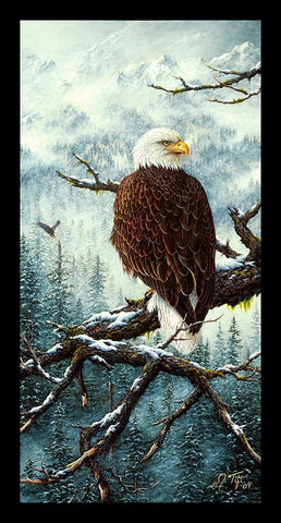 Eagle Rest White Modern Wood Framed Art Print with Double Matting by Tift, Jeff