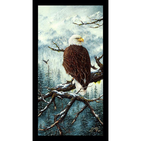 Eagle Rest Black Modern Wood Framed Art Print with Double Matting by Tift, Jeff