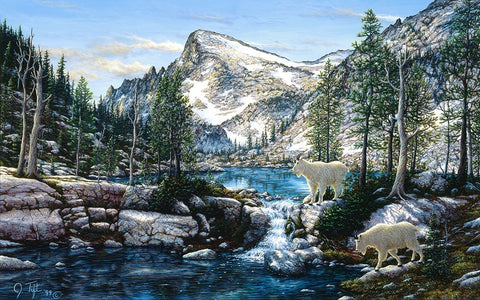 Summer In The Enchantments Black Ornate Wood Framed Art Print with Double Matting by Tift, Jeff