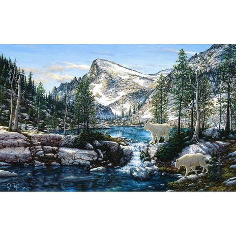 Summer In The Enchantments Black Modern Wood Framed Art Print by Tift, Jeff