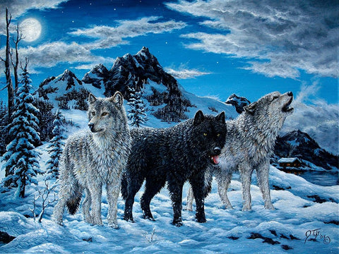 Night Howl Black Ornate Wood Framed Art Print with Double Matting by Tift, Jeff