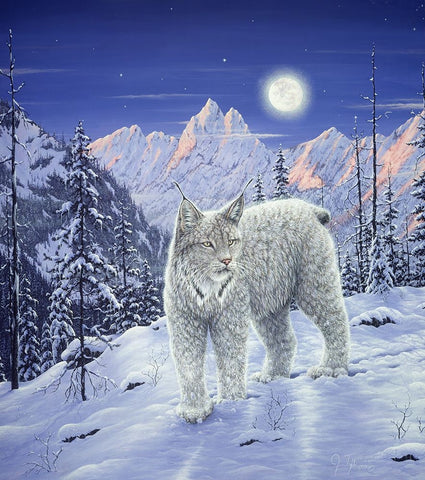 Moonlight Wilderness White Modern Wood Framed Art Print with Double Matting by Tift, Jeff