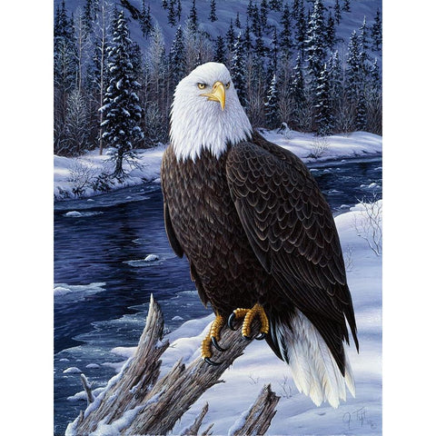 River Watch Black Modern Wood Framed Art Print with Double Matting by Tift, Jeff