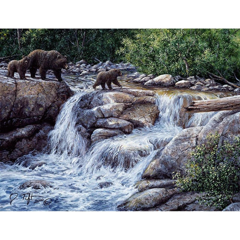 Entiat Falls-Grizzly Family White Modern Wood Framed Art Print by Tift, Jeff