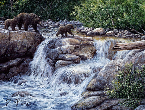 Entiat Falls-Grizzly Family Black Ornate Wood Framed Art Print with Double Matting by Tift, Jeff
