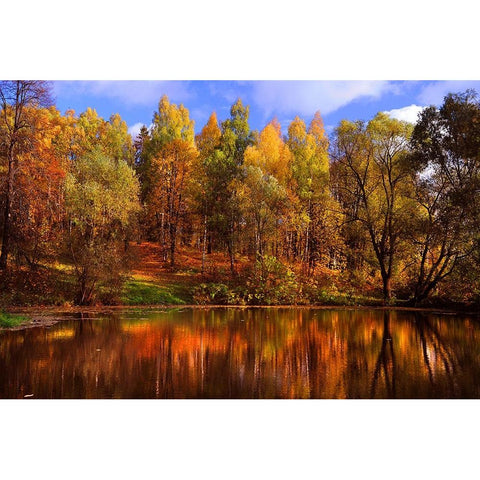 Autumn Reflections Gold Ornate Wood Framed Art Print with Double Matting by Jenny Rainbow Fine Art