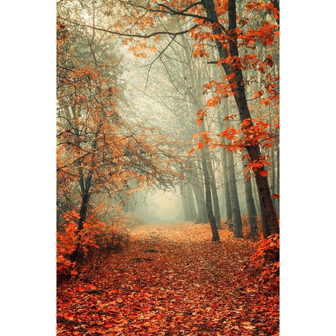 Autumn Rust White Modern Wood Framed Art Print by Jenny Rainbow Fine Art