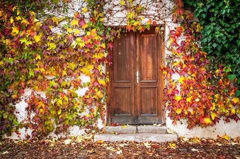 Autumn Wooden Doorway in Prague White Modern Wood Framed Art Print with Double Matting by Jenny Rainbow Fine Art