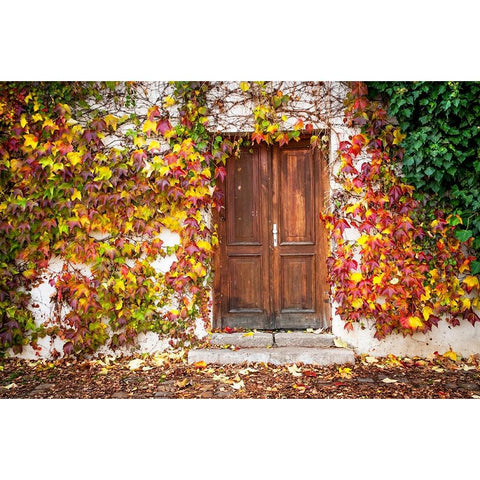 Autumn Wooden Doorway in Prague Gold Ornate Wood Framed Art Print with Double Matting by Jenny Rainbow Fine Art