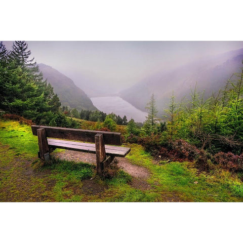 Bench Over the Upper Lake in Glendalough Ireland Gold Ornate Wood Framed Art Print with Double Matting by Jenny Rainbow Fine Art